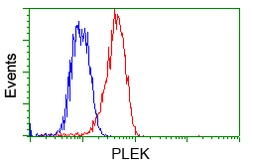 Anti-Pleckstrin antibody [2D11] used in Flow cytometry (FCM). GTX83872