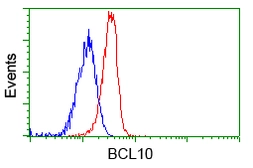 Anti-BCL10 antibody [4A8] used in Flow cytometry (FCM). GTX84835
