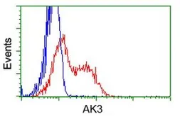 Anti-AK3 antibody [4C4] used in Flow cytometry (FCM). GTX84933